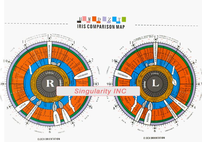 Iris Health Analyzer,5.0MP high resolution