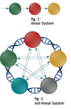 Non-linear System - Metatron 4025 Hunter