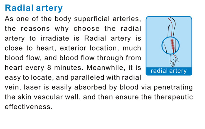 The semiconductor laser therapy apparatus