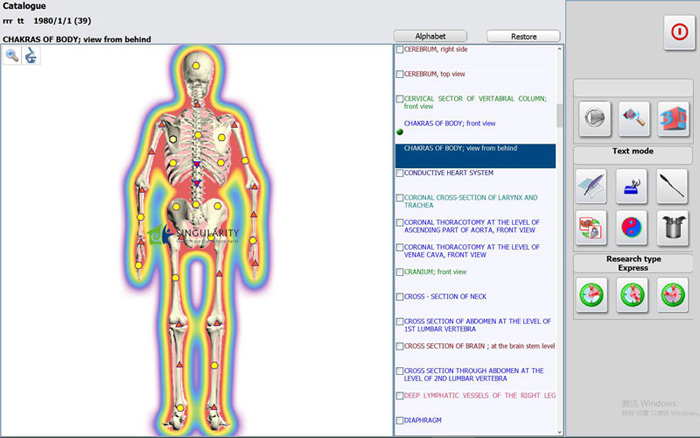 HOT!!! Meta Hunter Bioresonance Machine