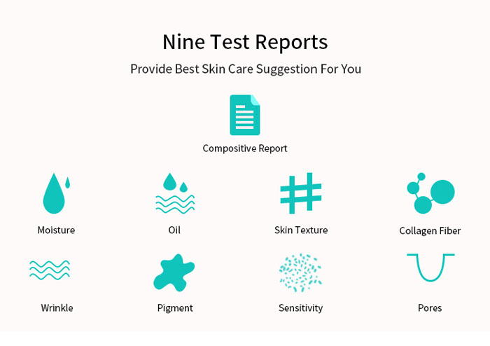 The Portable Skin Analyzer System