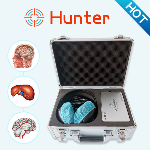 The New Metatron 4025 Hunter Bioresonance Machine